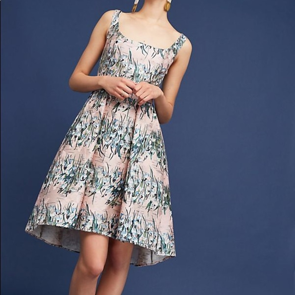 Anthropologie Floral Jacquard Dress Size 6